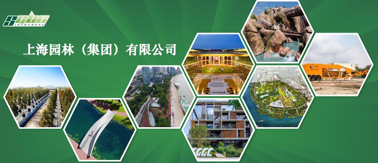 图像 图像